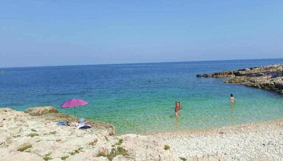Vila C Istria *